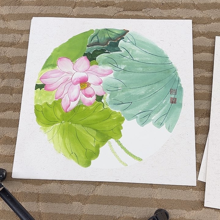 国画花鸟的故事和生活38.38