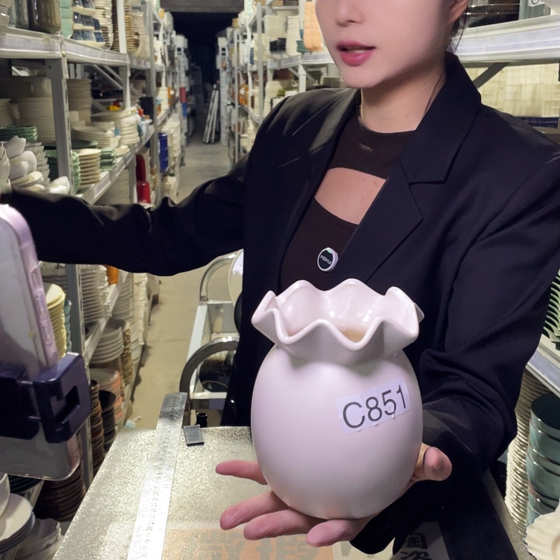 瓷片851                 2个