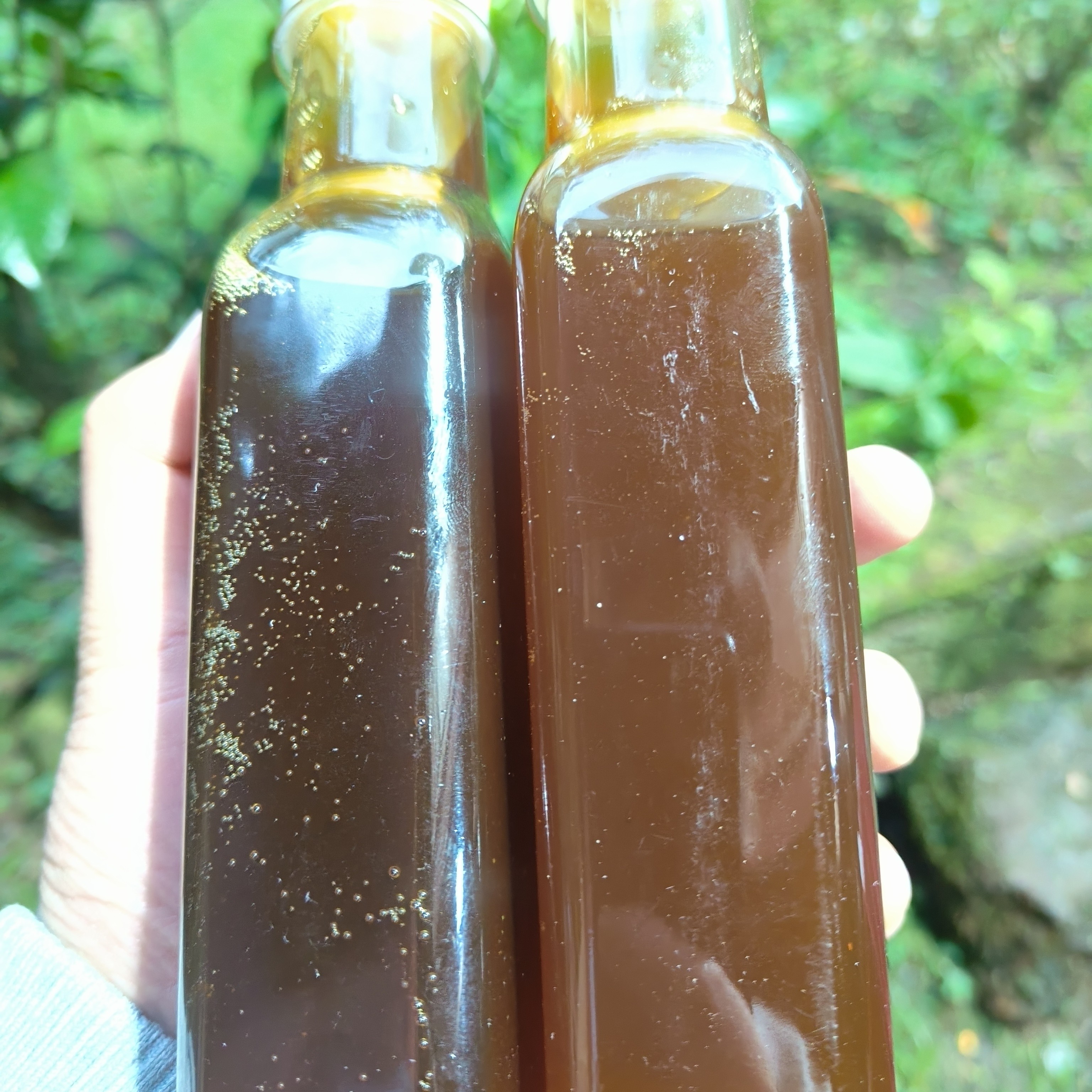 云南边境土特产樱–花–玉–米–精油
