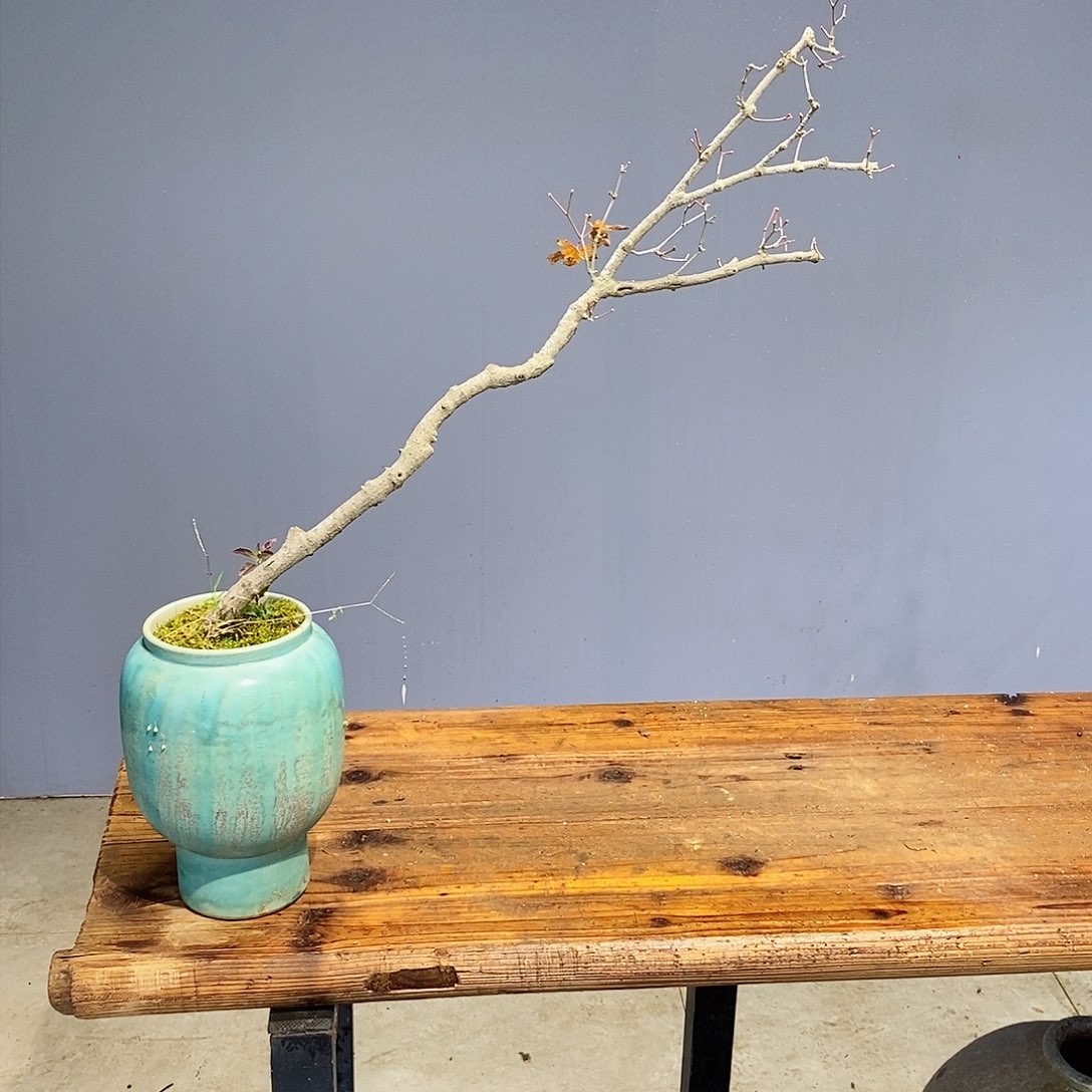 小*华我的心好痛啊我的心真的好痛啊好