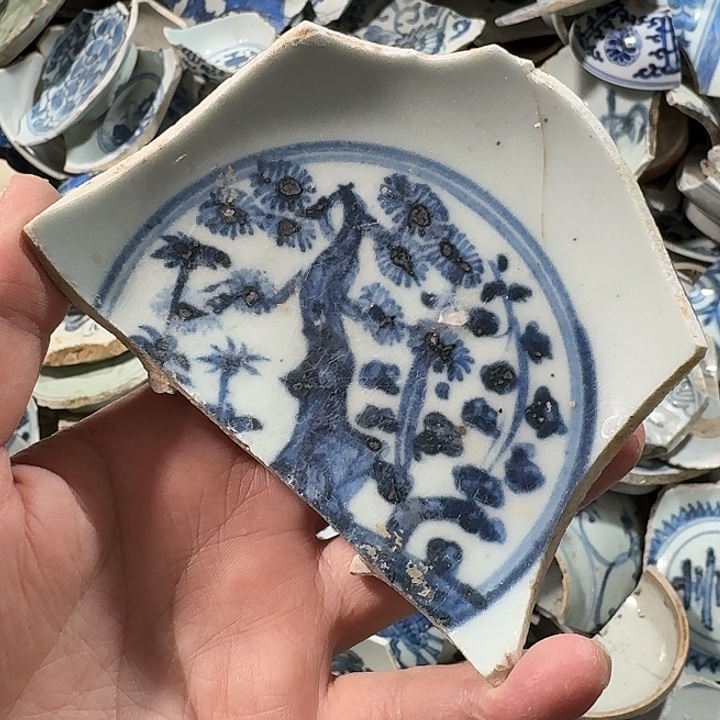 奥***l瓷片瓷片标本，顺丰包邮