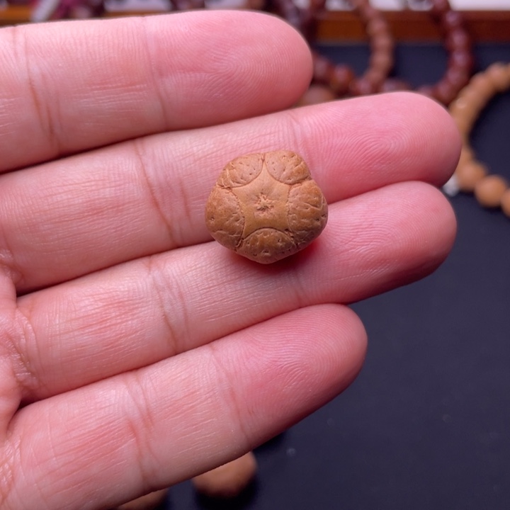 吊坠凤眼菩提五星