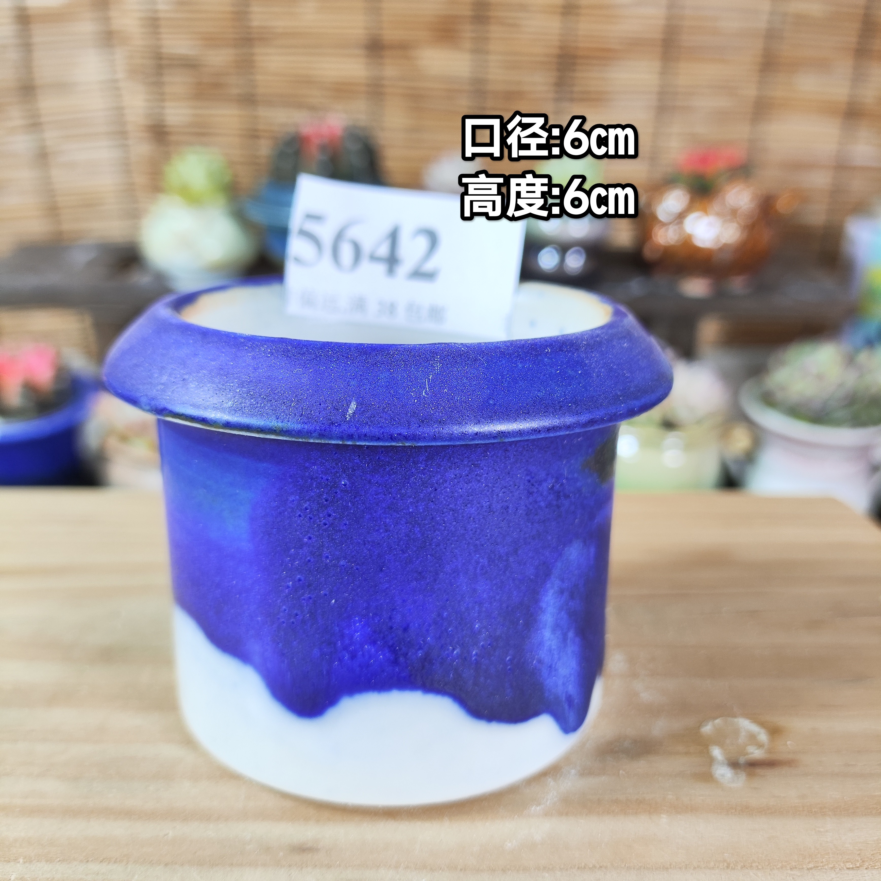 手工创意多肉花盆摆件迷你多肉花盆景德镇纯手工制做