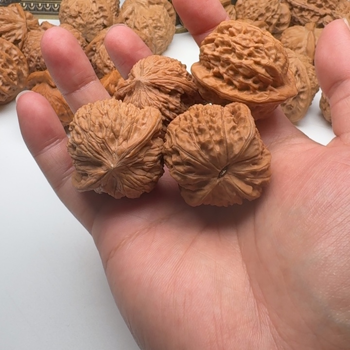 西***供木质类大哥福利对