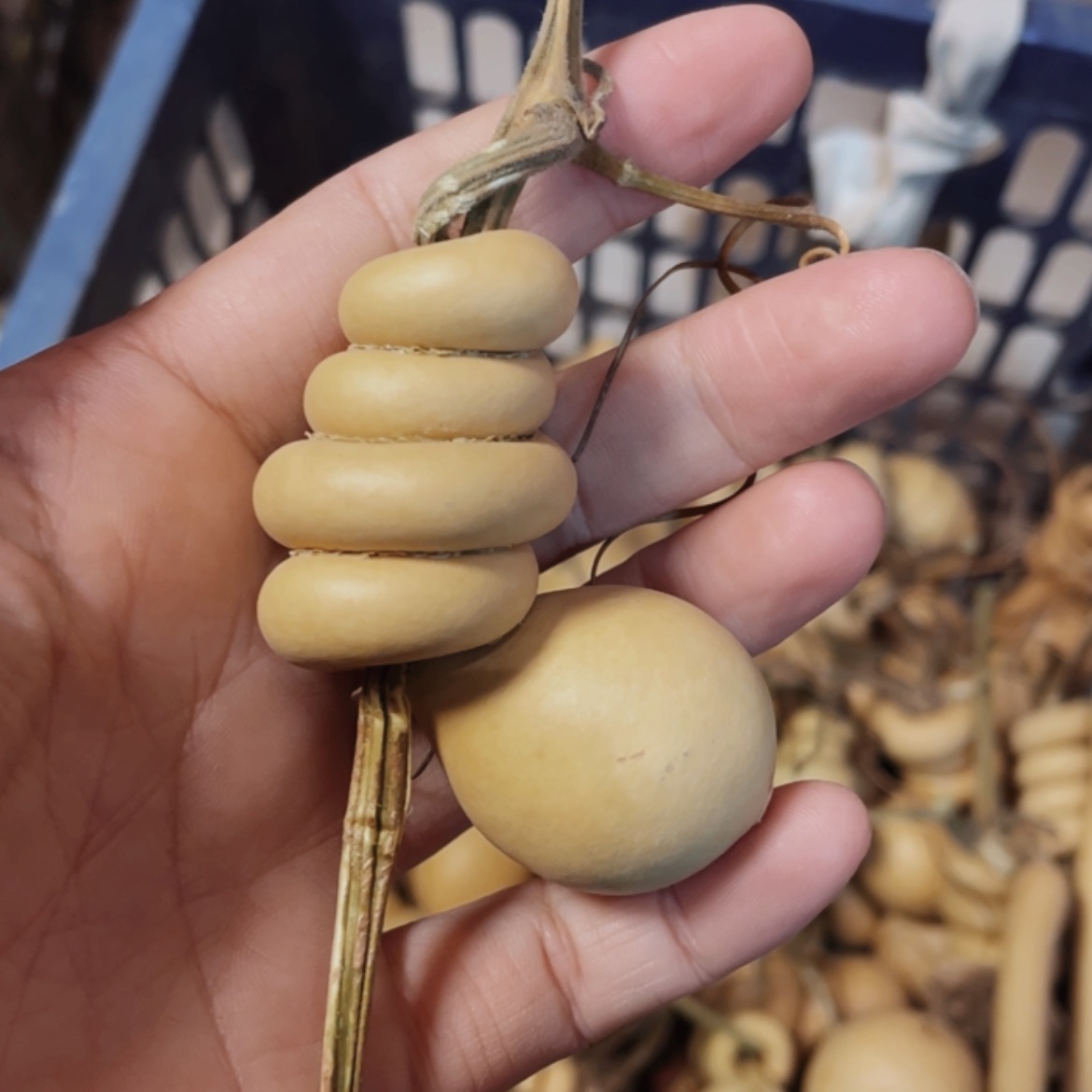【闪购商品】木H****o葫芦