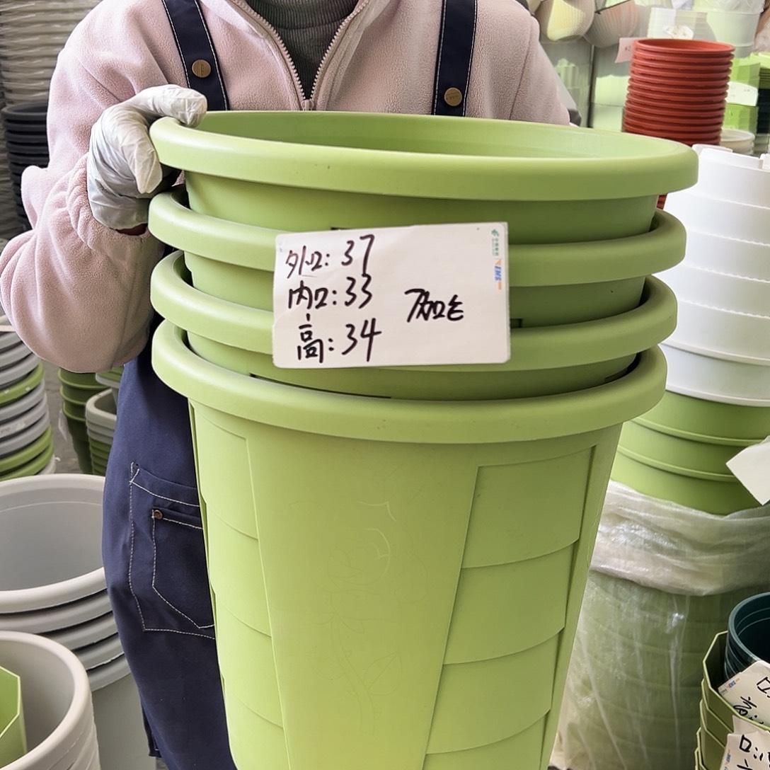 玫瑰370#果绿色4个无托