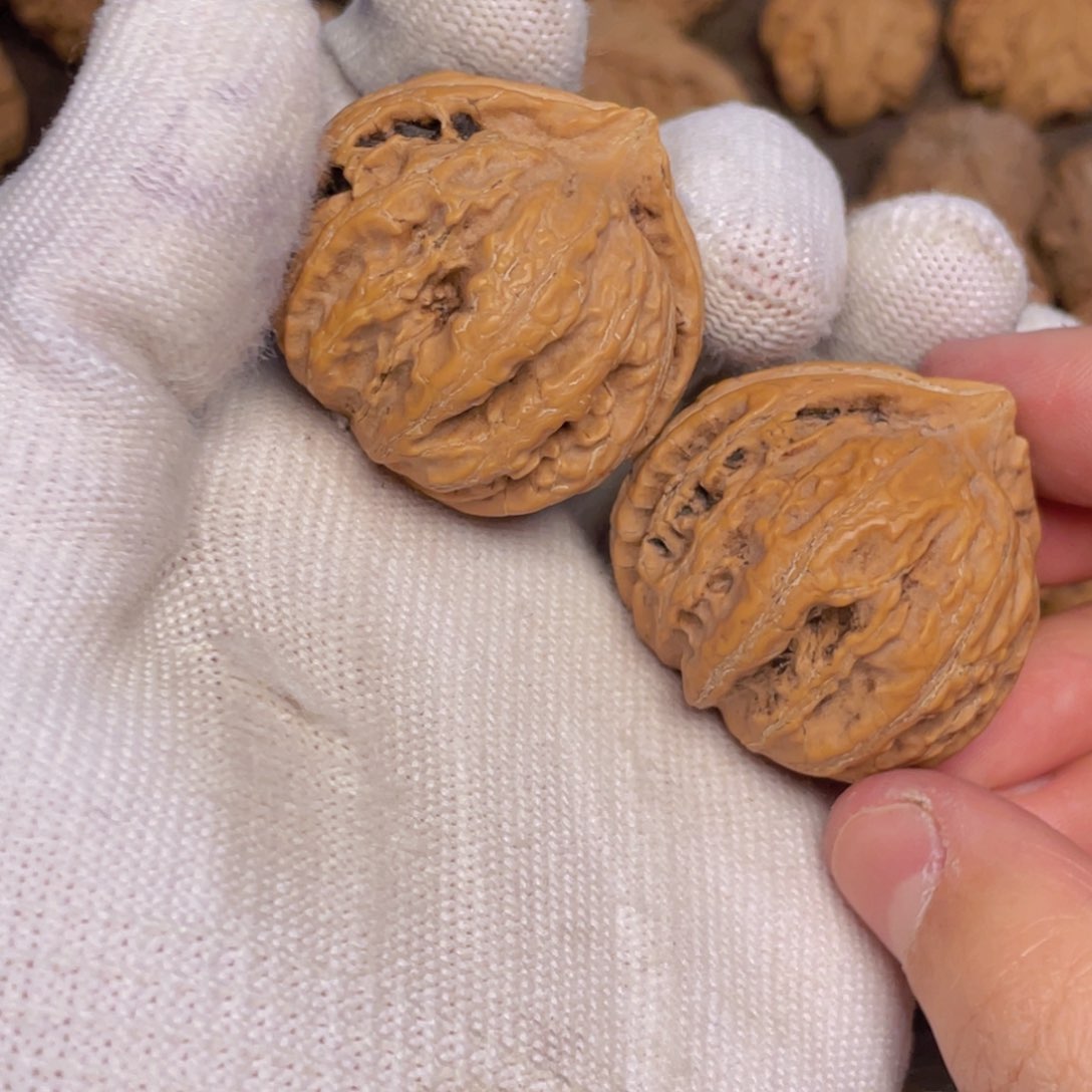 文玩核桃吊坠25 秦岭灯笼野生小众