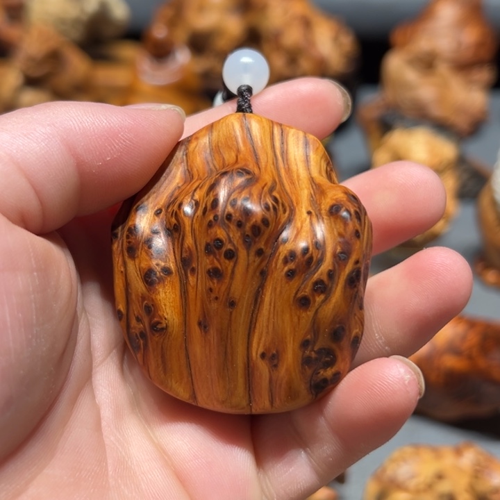 柏木（崖柏）点点关注