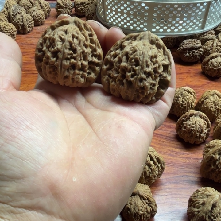 哒***哒大叶紫檀（黑酸枝木类）