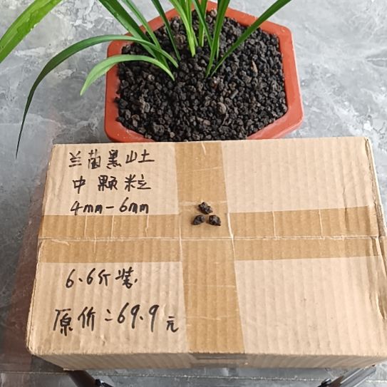 杨***妮兰菌黑山土中颗粒6.6斤