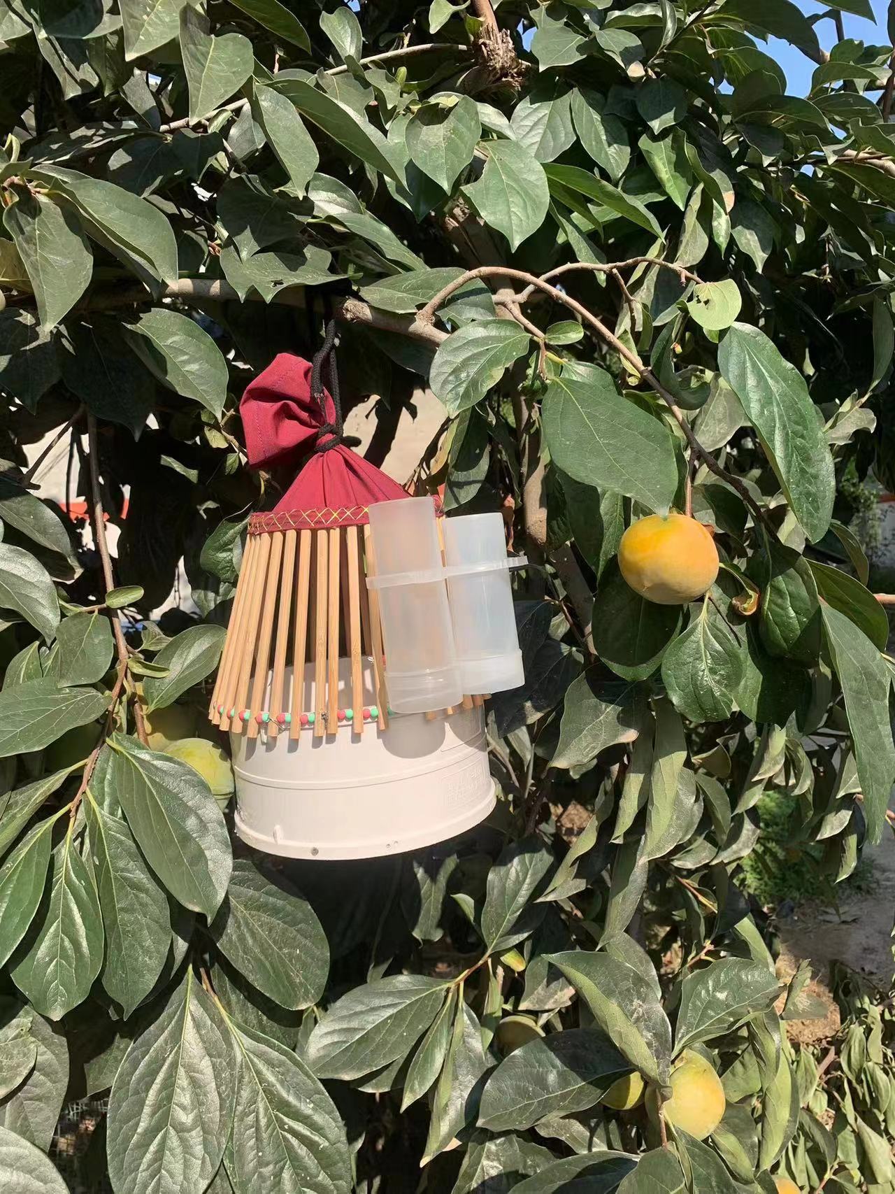 纯不同规格鹌鹑笼子适合鹌鹑圈地繁殖 100米3个