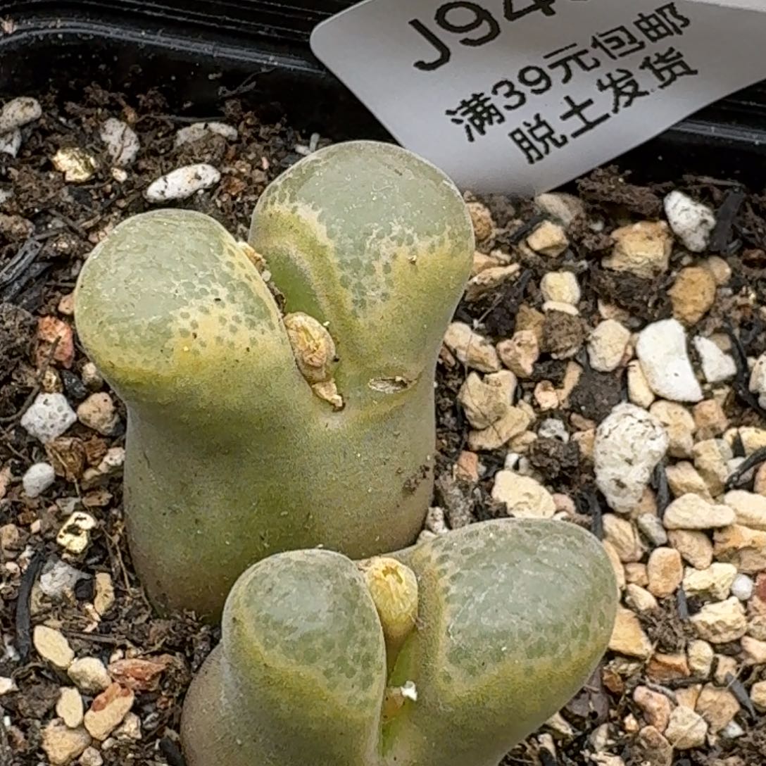 946哈哈哈哈哈哈哈哈哈哈