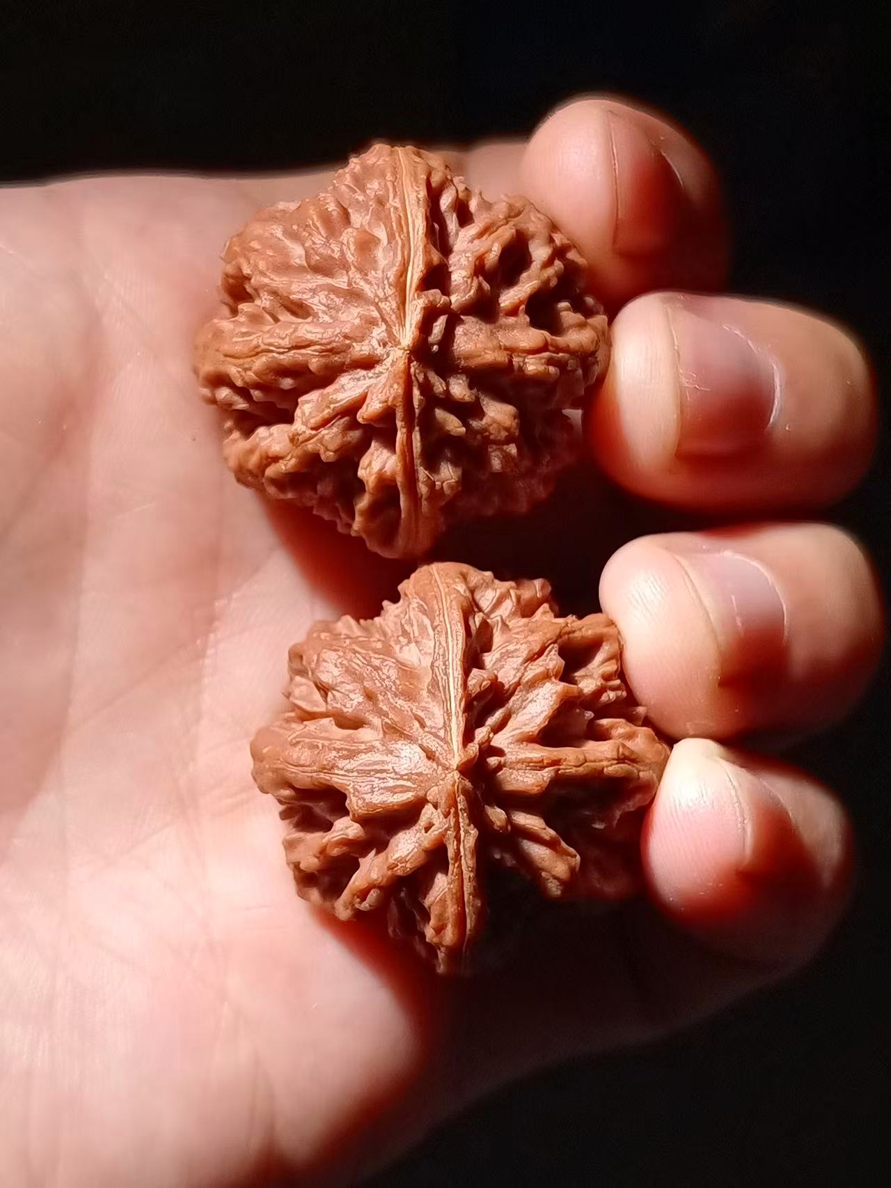 文玩核桃小手捻粗筋南瓜山地楸核Z