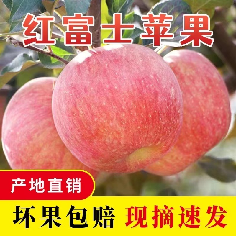 正宗红富士苹果头茬鲜果脆甜多汁产地直发包邮cd