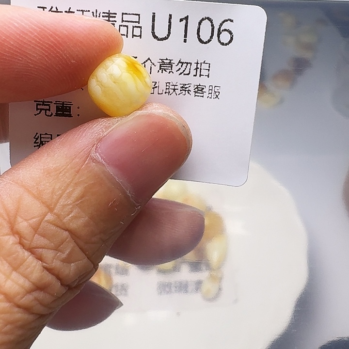 裸石琥珀未镶嵌琥珀