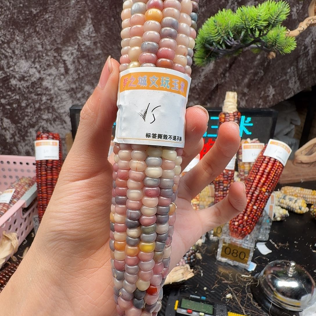 彤***^大叶紫檀（黑酸枝木类）