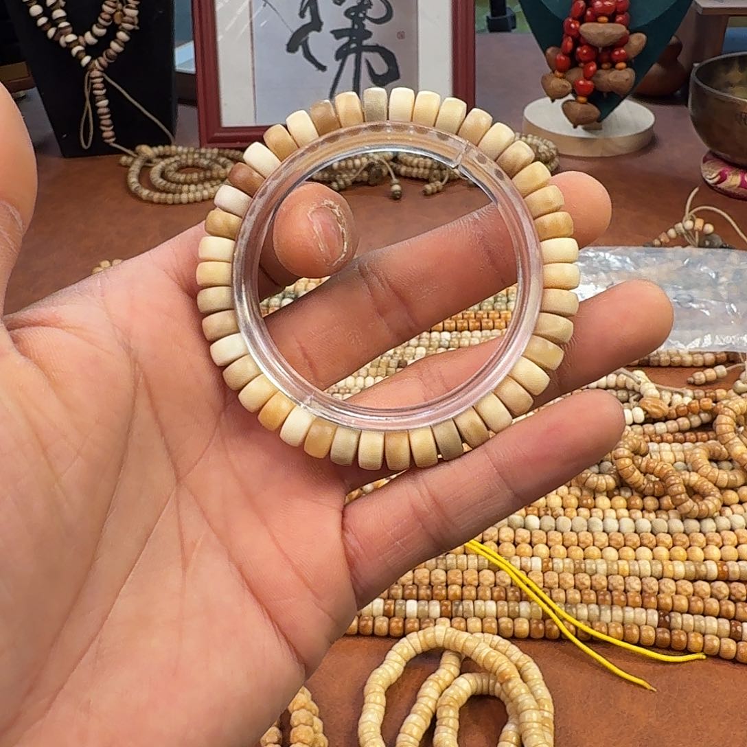 手串菩提根/象牙果龙脊菩提药片多宝单圈