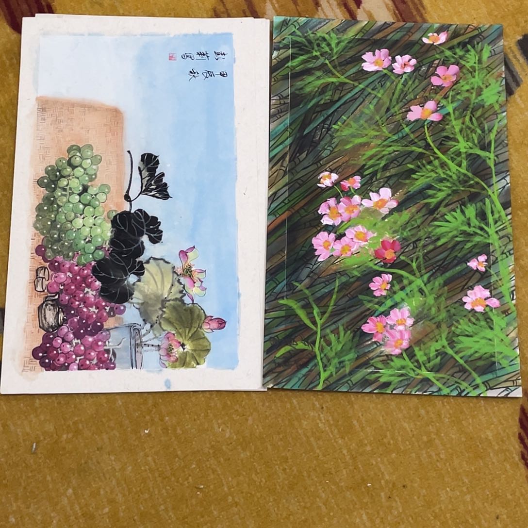 国画文*浩福利卡纸999999999999…