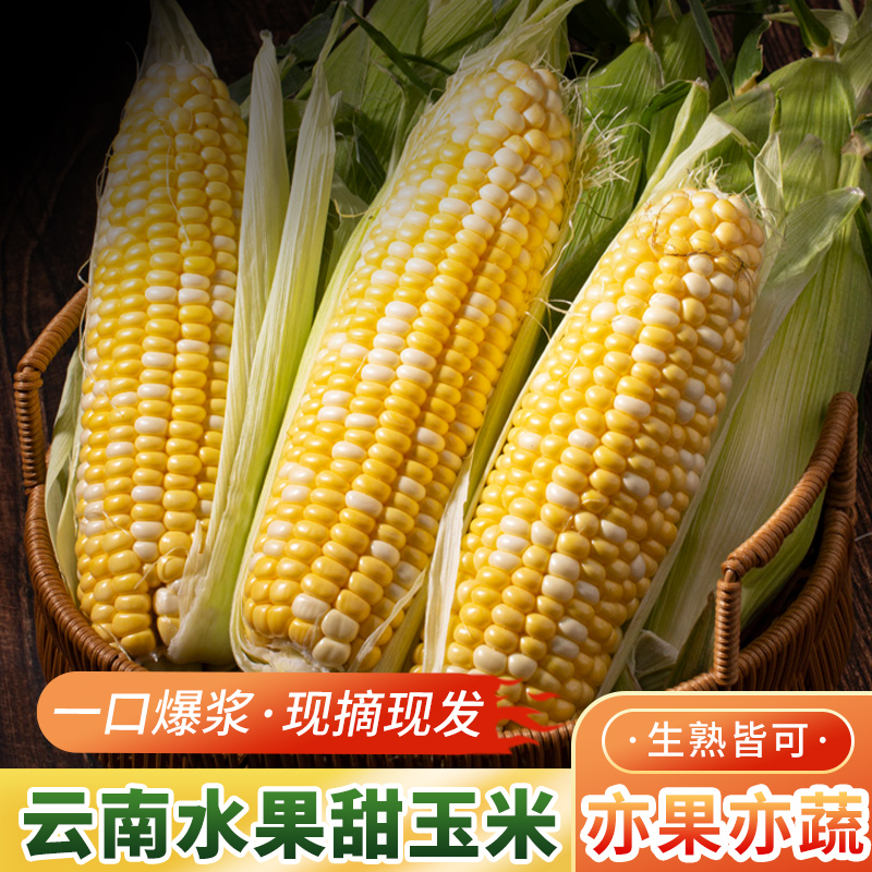 {水果玉米}云南水果玉米现摘嫩玉米甜玉米生吃香甜食用鲜嫩