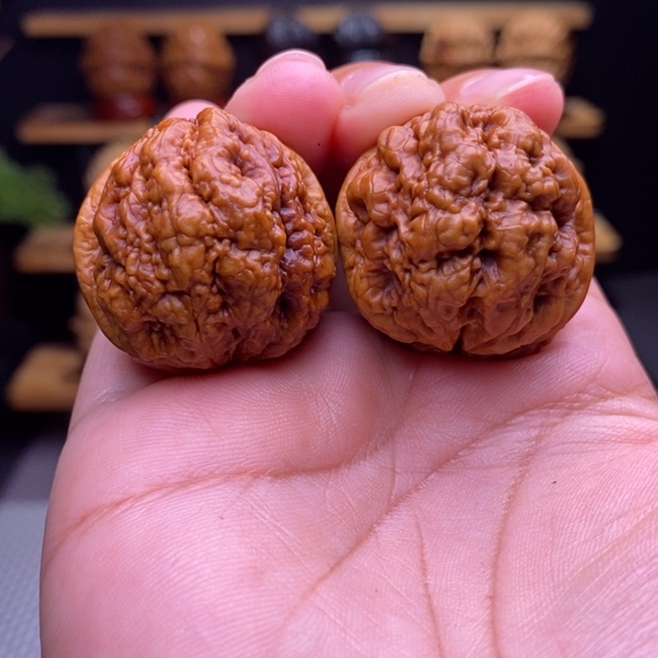 东***鱼木质类云铁血舍利2号