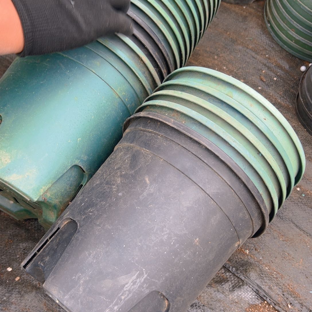 塑料加伦盆黑绿混合随机发货 19.5口径 19.5高 5个