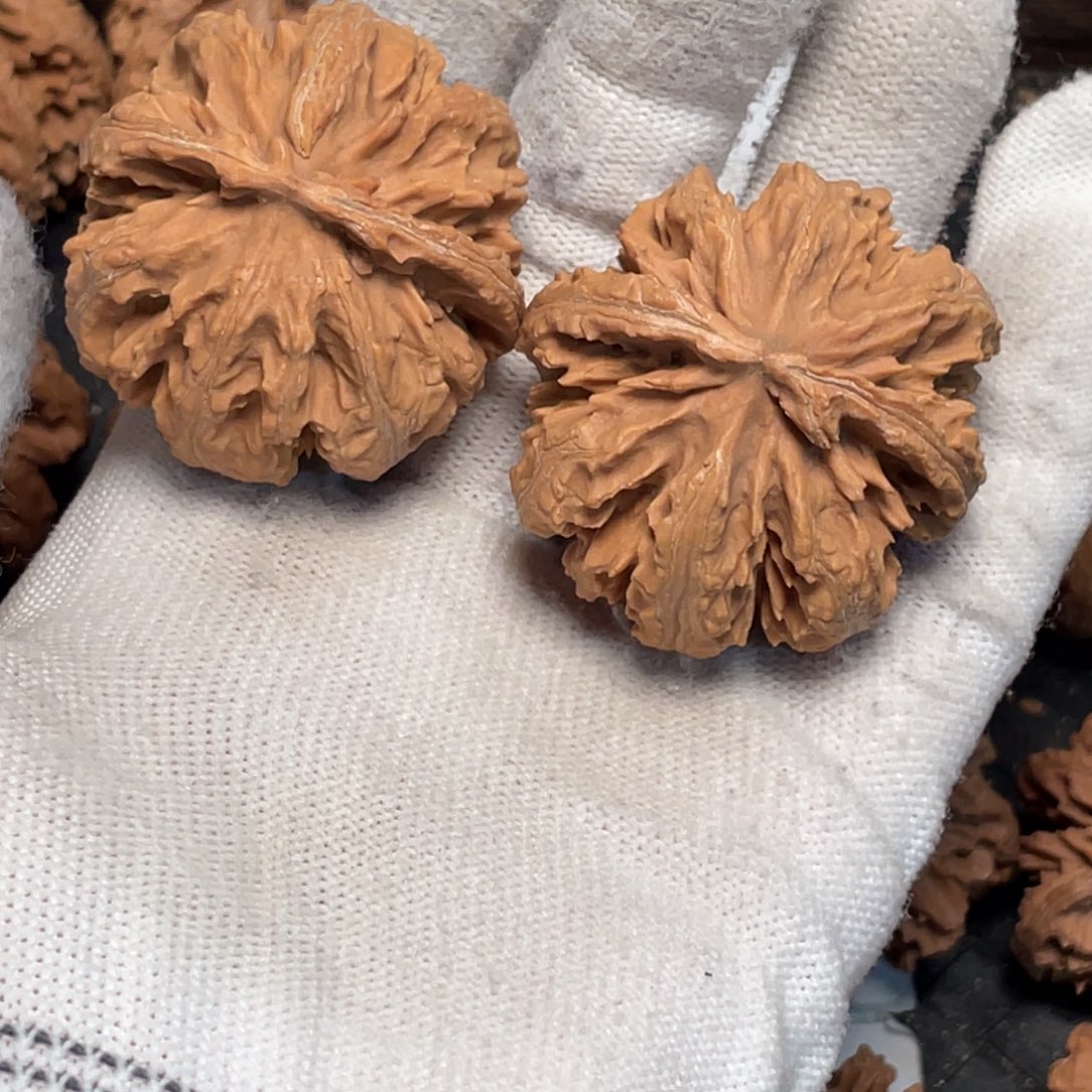 軍***哥桃核把件8 秦岭灯笼野生小众