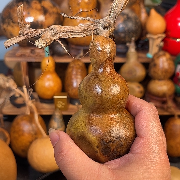 水***卿粗嘴八宝。            