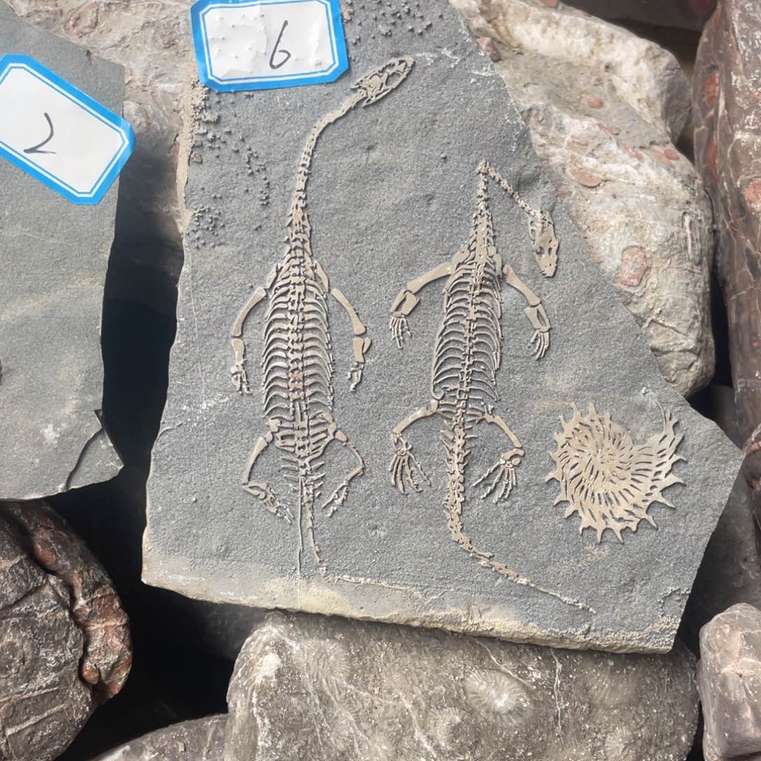 石材66666666666666666666