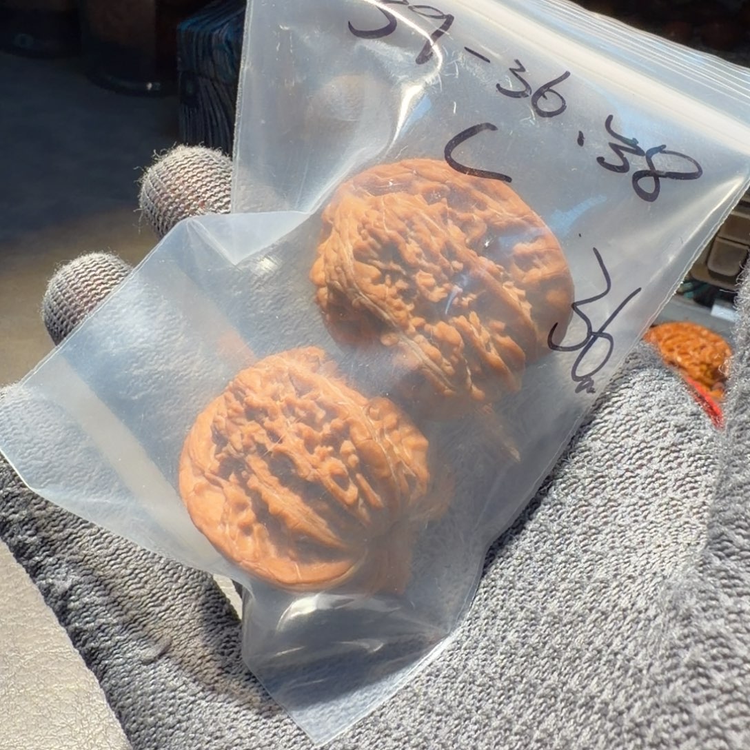 蜉***蚍文玩核桃吊坠39间楼