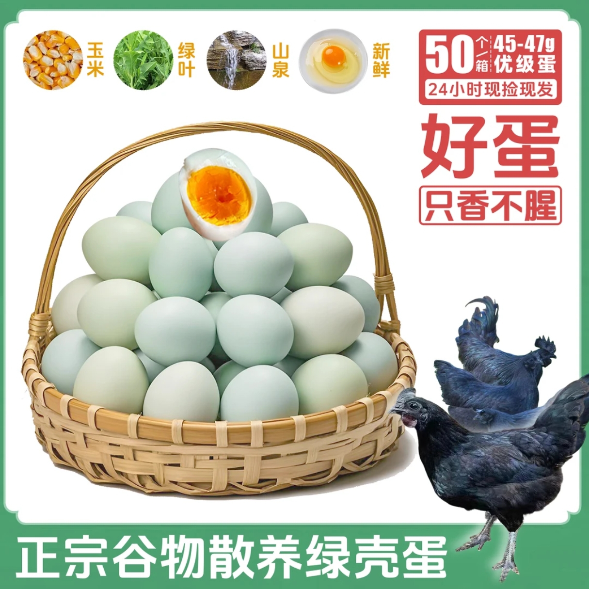 50枚绿壳土鸡蛋现捡现发