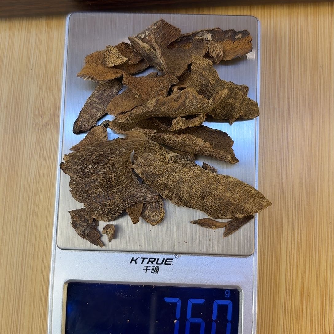 海南沉水鸡母虫漏7.6克
