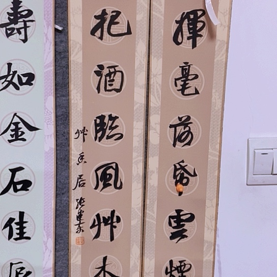 书法张建东老师书法作品