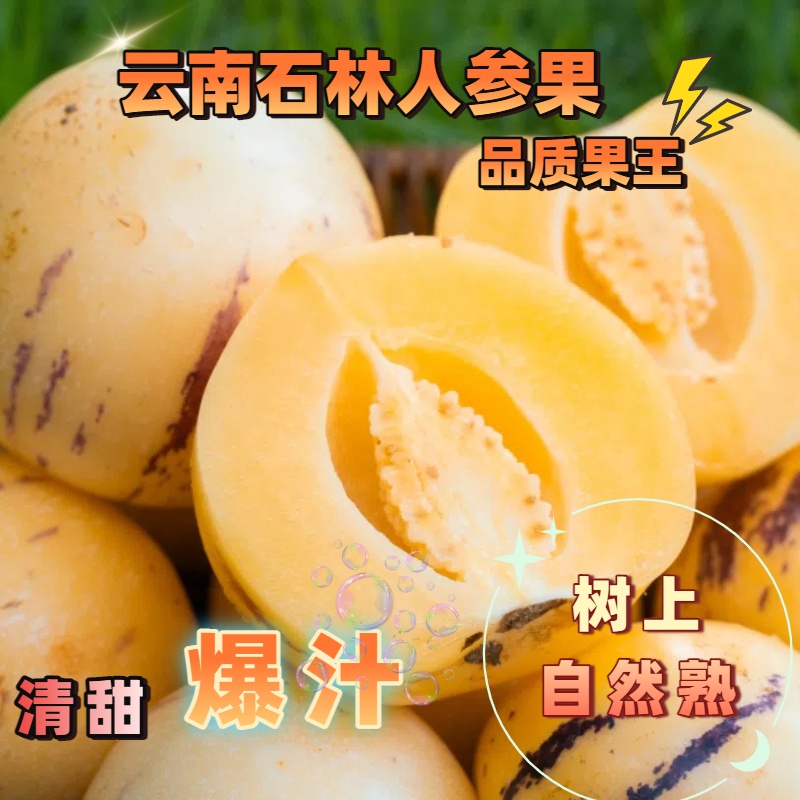 云南石林黄心人参果树上熟新鲜果王发货低糖鲜果当季采摘
