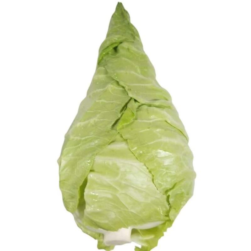 【霜打菜】牛心白 约1kg