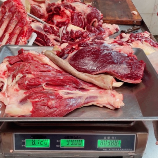 【闪购商品】冷冻保存30天包装河北省