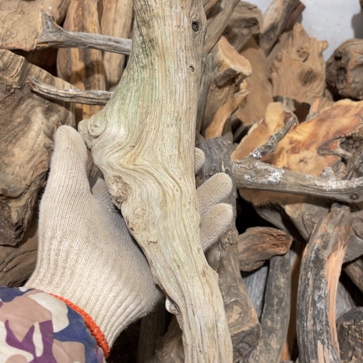 柏****店毛料毛料毛料毛料