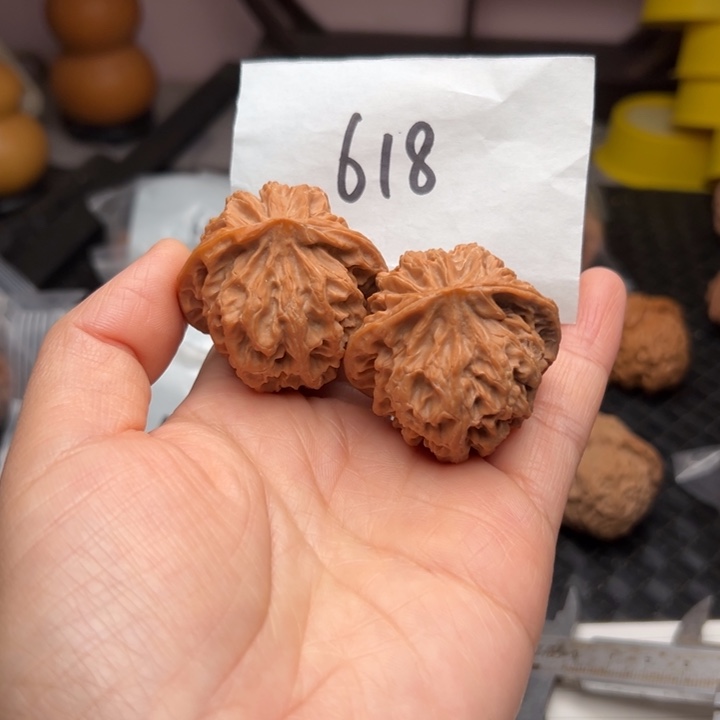 你***好核桃41尺寸苹果园