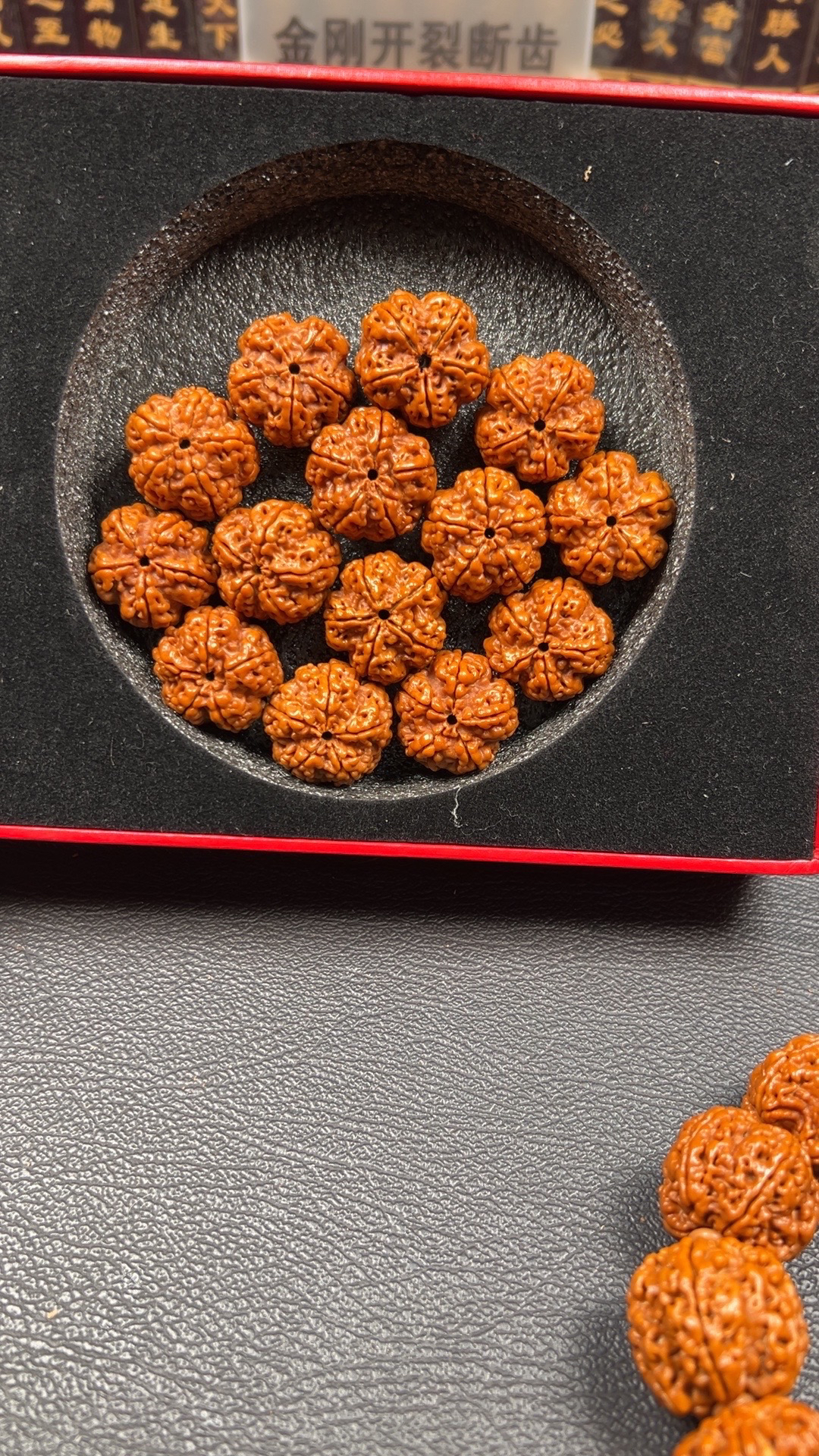 霸王花，原生态尼泊尔大金刚。