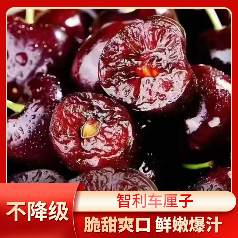 智利海运桑提娜进口车厘子4J礼盒内附果径卡包邮