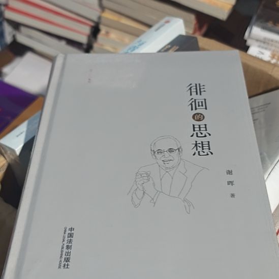 徘徊的思想精装塑封全新库存书