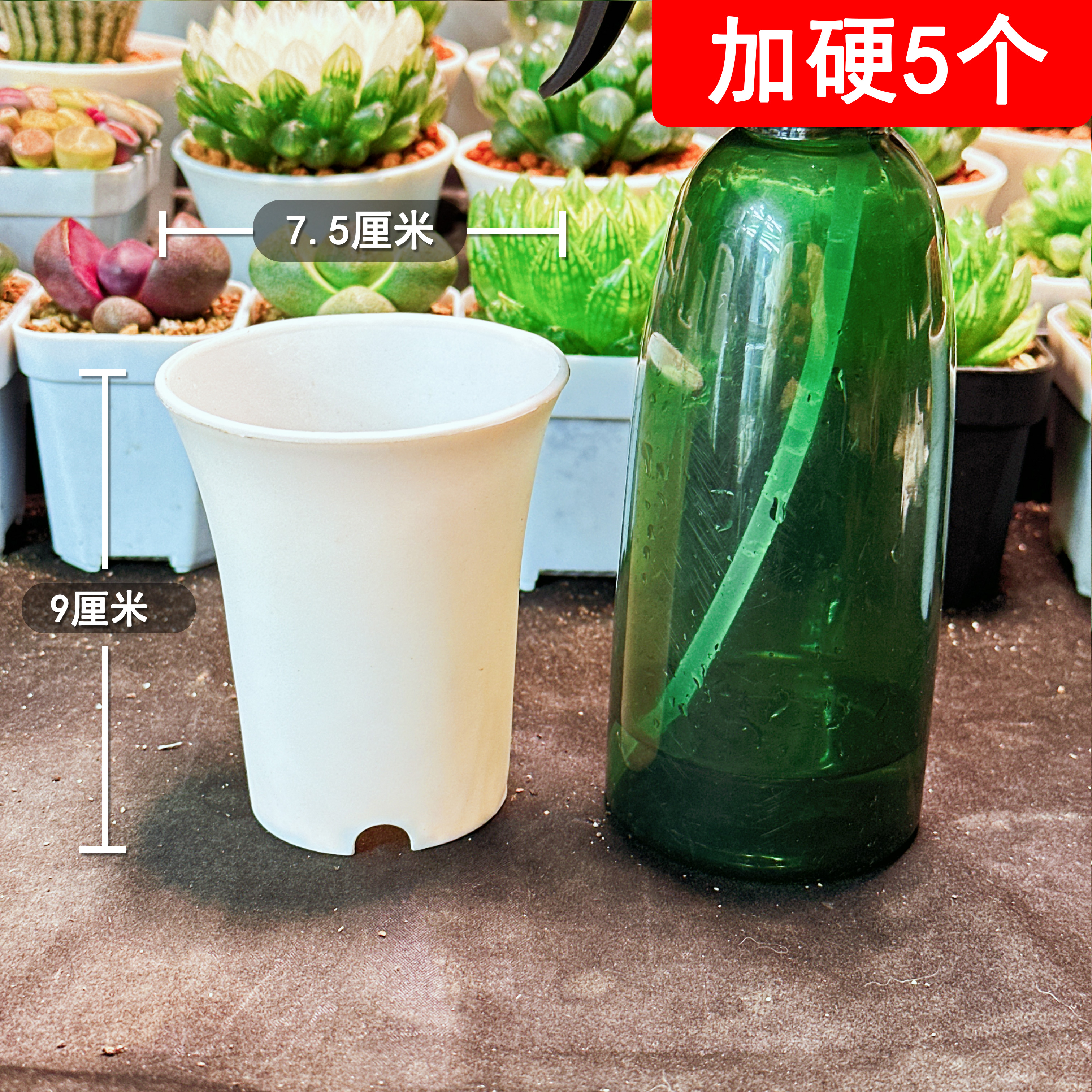 【加高加硬万象盆5个】  口径7.5CM  高度9CM 白色 多肉植物用