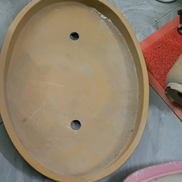 无铅玻璃用****6紫砂花盆一个包邮