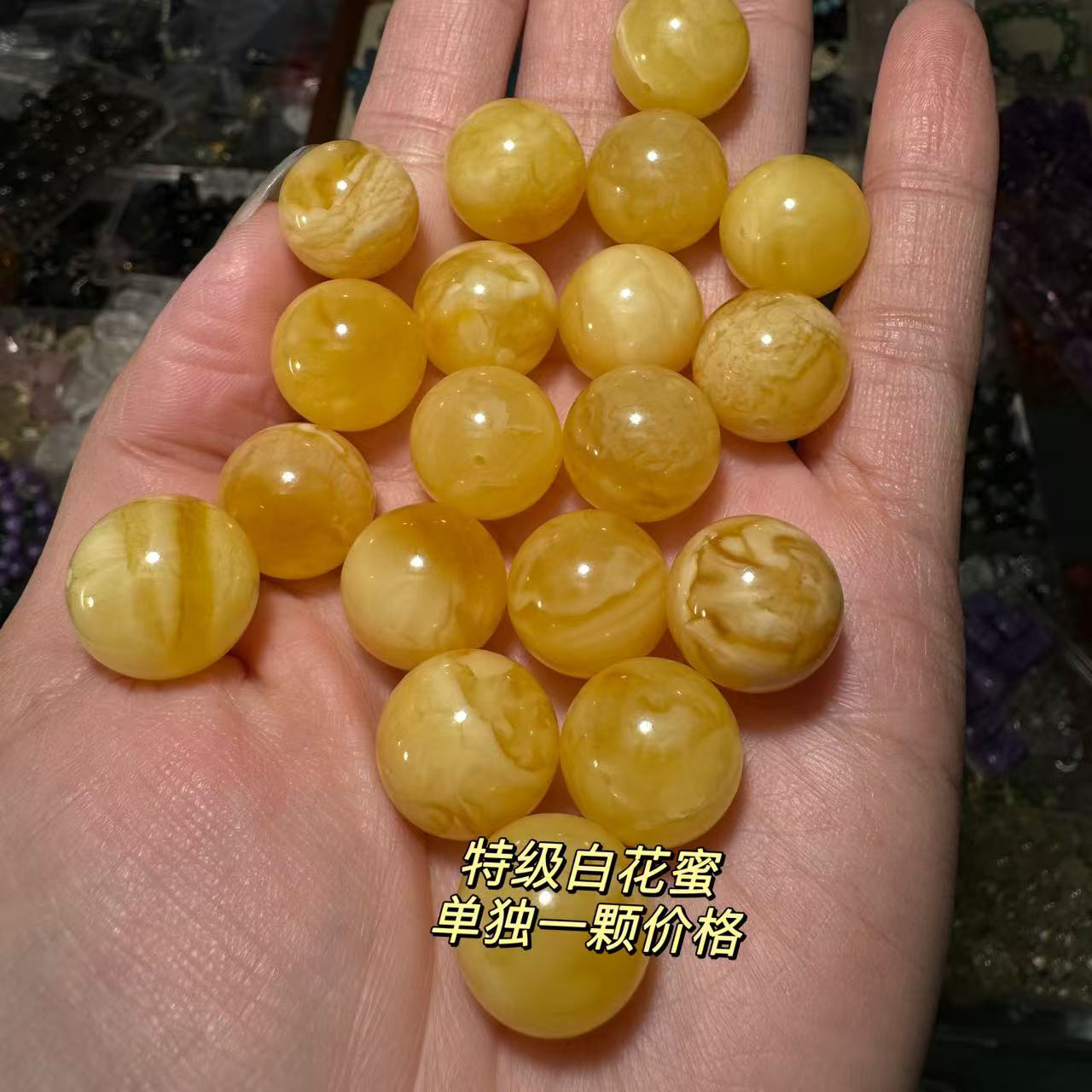特级白花蜜单珠多样性发其一