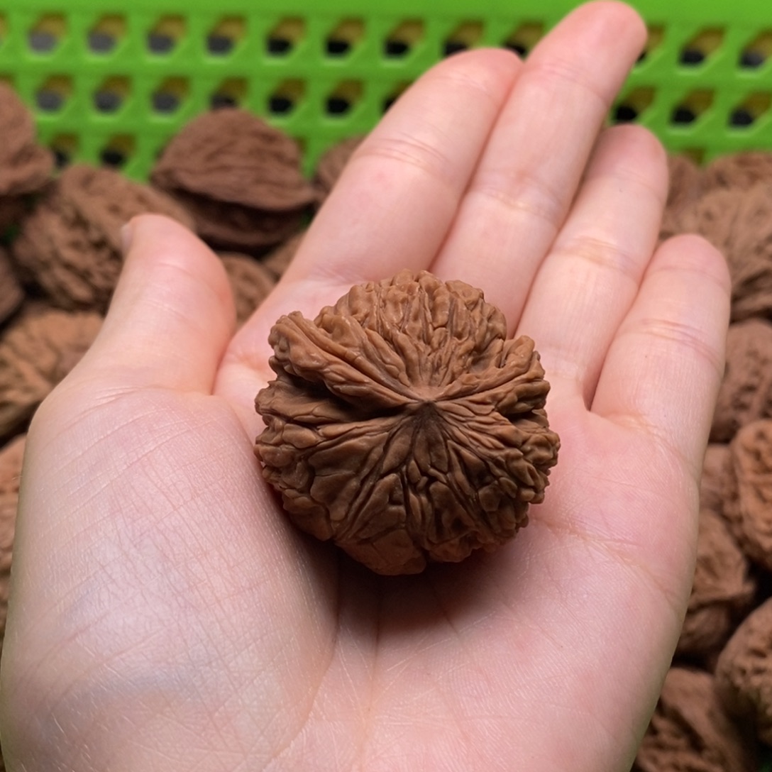 壹***风核桃定制商品不退不换