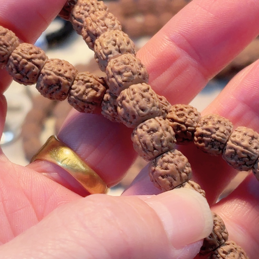 营***）印度尼西亚小金刚葛地利纯血一代龙手持