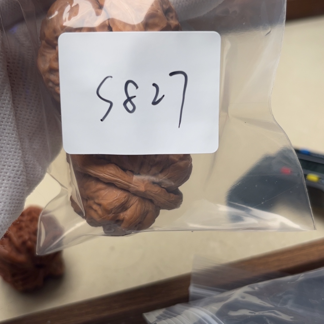 文玩核桃吊坠蛤蟆s827