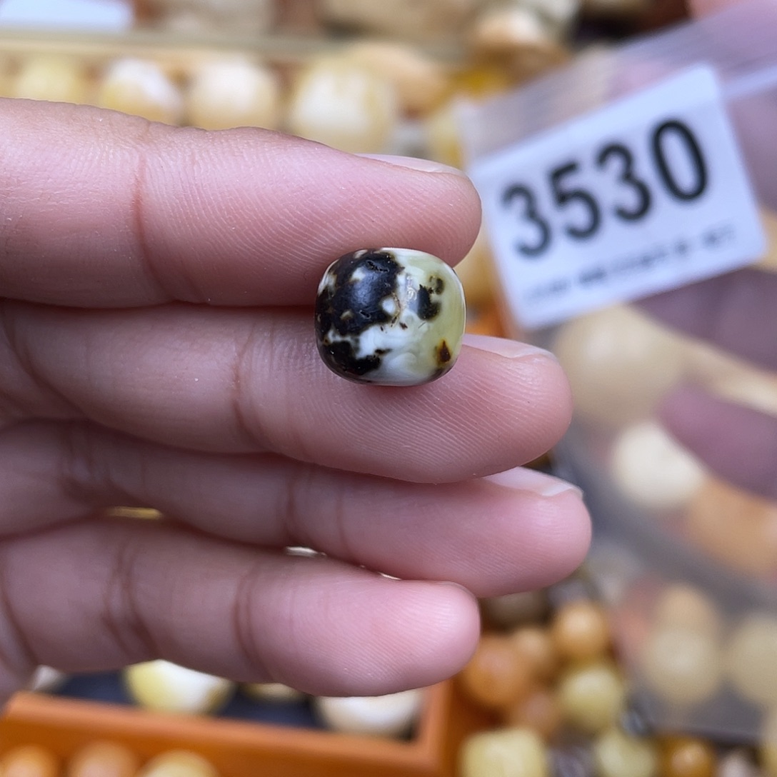 未镶嵌蜜蜡珠宝奇石11.5奥利奥