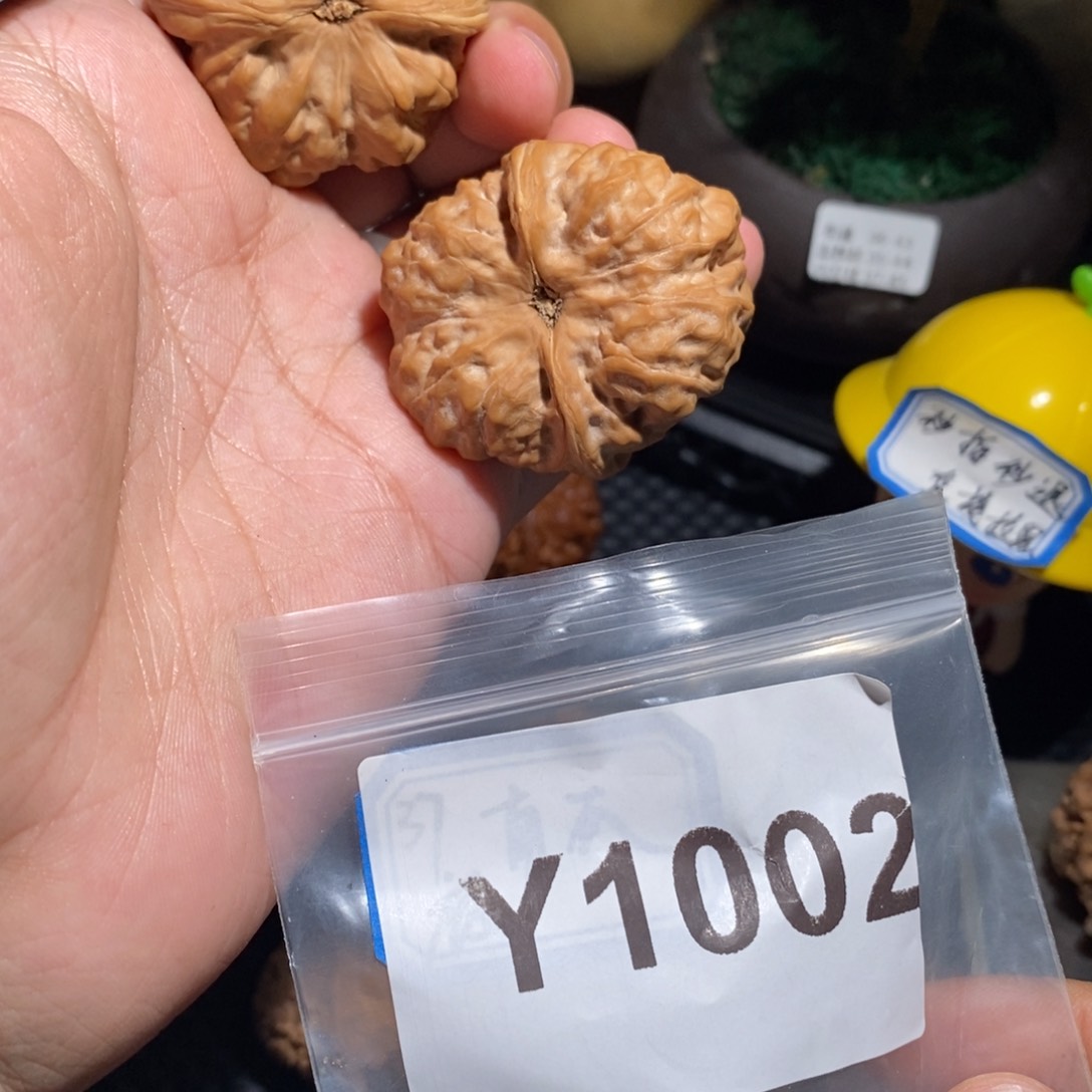 文玩核桃把件牛*菌蛤蟆头