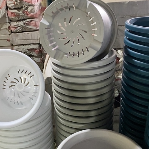 树脂灰白色6号无托5个