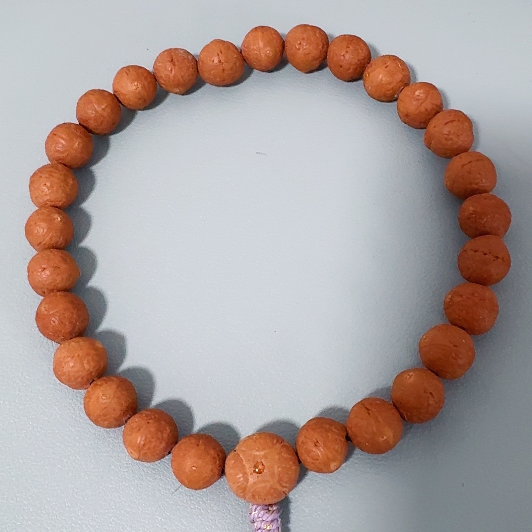 手串凤眼菩提13凤眼菩提一物一图，91@1102